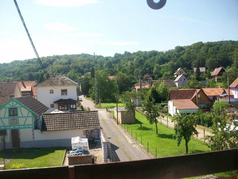 Gite Le Jardin De Hermolsheim. Alsace Tres Spacieux Mutzig Zewnętrze zdjęcie