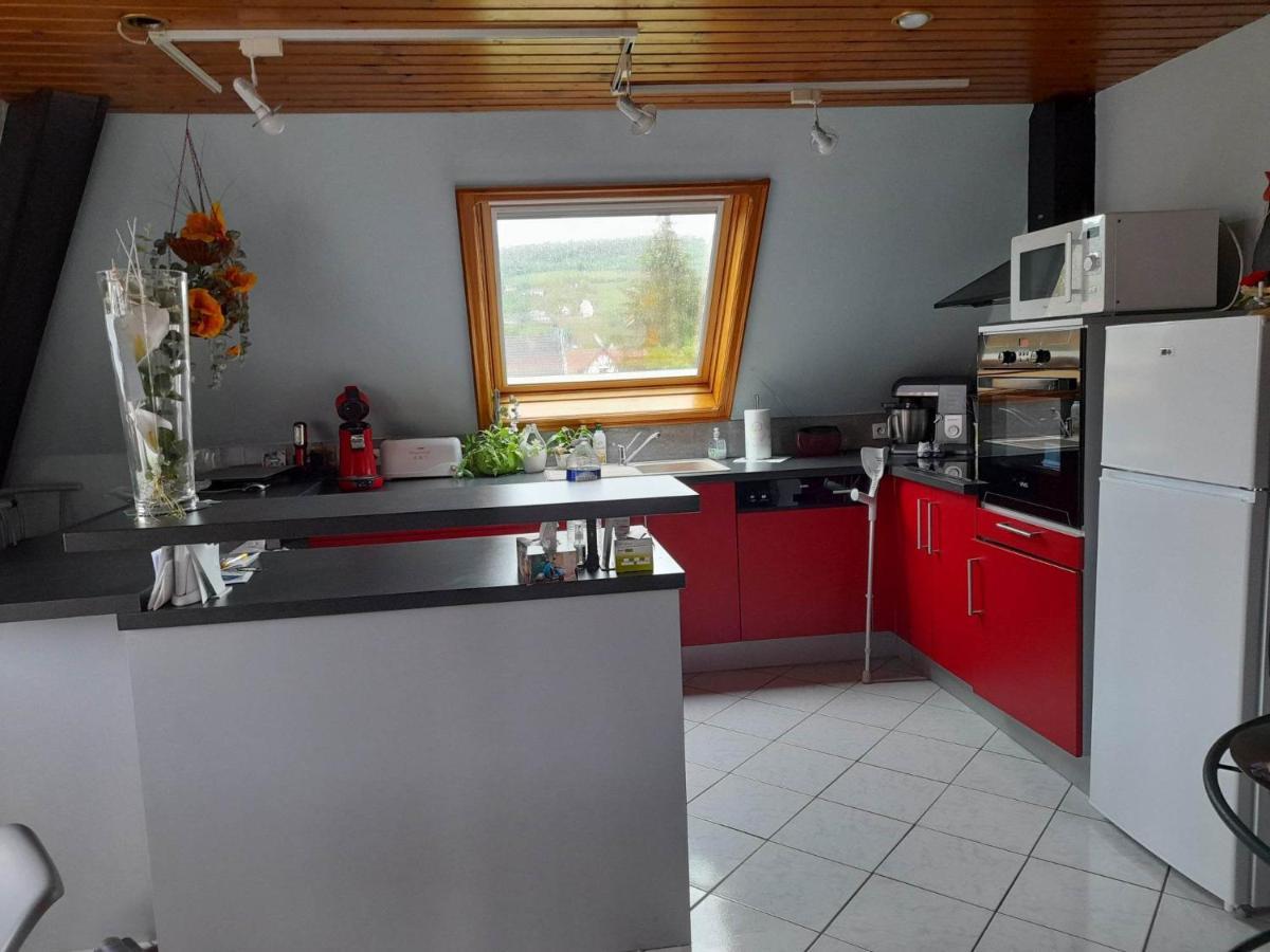 Gite Le Jardin De Hermolsheim. Alsace Tres Spacieux Mutzig Zewnętrze zdjęcie